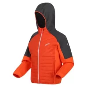 Image of Regatta Kielder Hybrid VI Insulated Jacket - RustyOr/SlGy