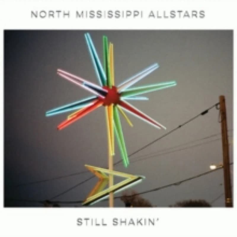 Image of Still Shakin' Vinyl
