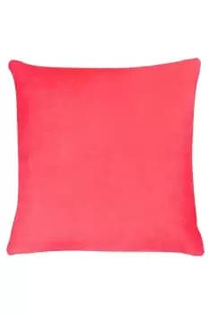Image of Tanda Soft Velvet Cushion