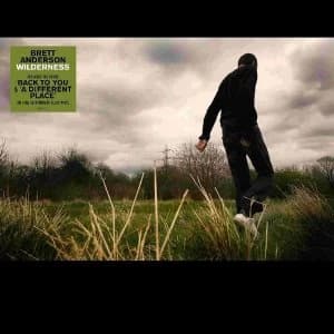 Image of Brett Anderson - Wilderness Coloured Vinyl