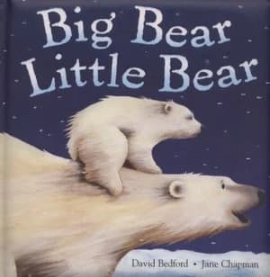 Image of Big Bear Little Bear by David Bedford Book