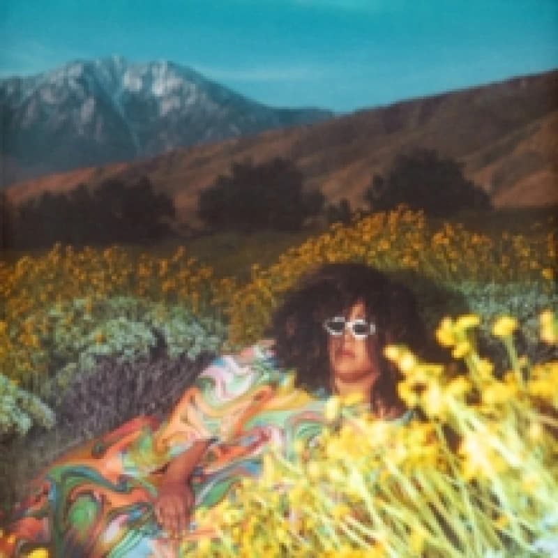 Image of WHAT NOW Vinyl