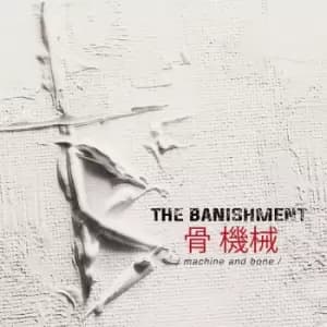 Image of The Banishment Machine and bone CD multicolor