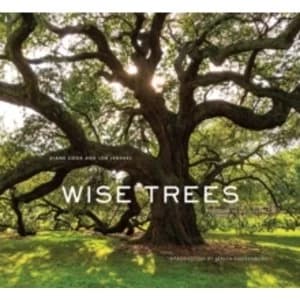 Image of Wise Trees
