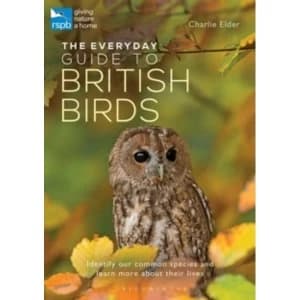 Image of The Everyday Guide to British Birds : Identify our common species and learn more about their lives