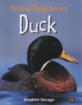 Image of Duck by Stephen Savage Hardback