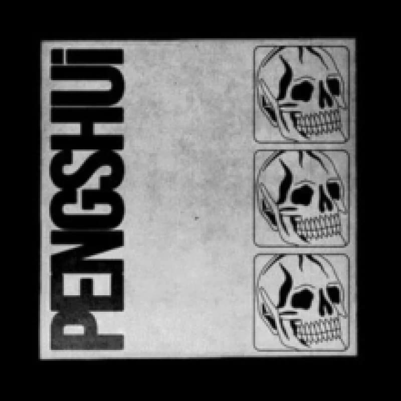 Image of Pengshui CD / Album