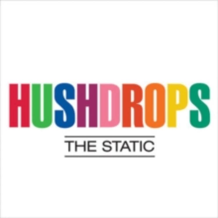 Image of The Static CD / Album