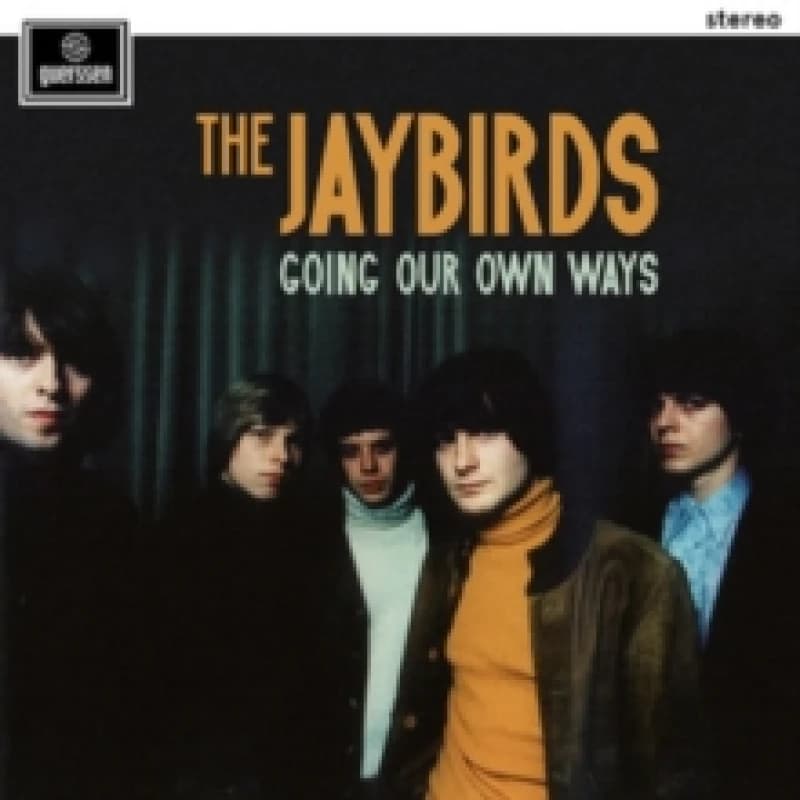 Image of Going our own ways Vinyl