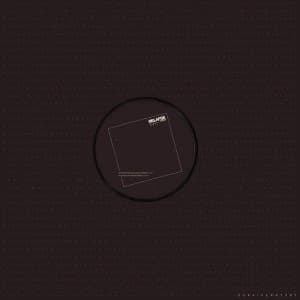 Image of Survive - Rr7387 (Remix) Vinyl