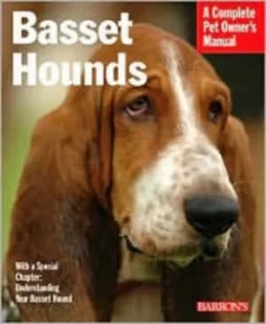 Image of Basset hounds by Joe Stahlkuppe