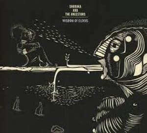 Image of Wisdom of Elders by Shabaka and The Ancestors CD Album