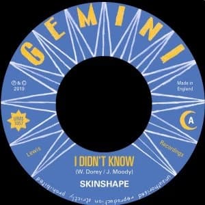Image of Skinshape - I Didn't Know Vinyl