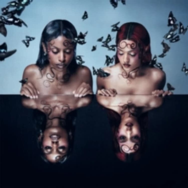 Image of Parasites & Butterflies Vinyl