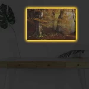 Image of 4570DHDACT-151 Multicolor Decorative LED Lighted Canvas Painting