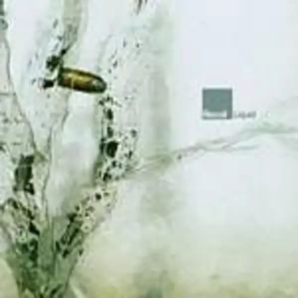 Image of Recoil - Liquid (Music CD)