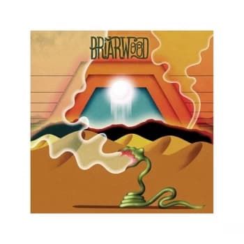 Image of Wooden Wand And The Briarwood Virgins - Briarwood CD