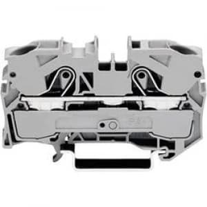 Image of Continuity 10 mm Pull spring Configuration L Grey