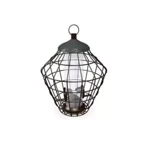 Image of Peckish Secret Garden Steel Seed Squirrel Proof Bird Feeder 0.7L Green
