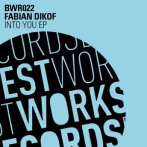 Image of Into You by Fabian Dikof Vinyl Album