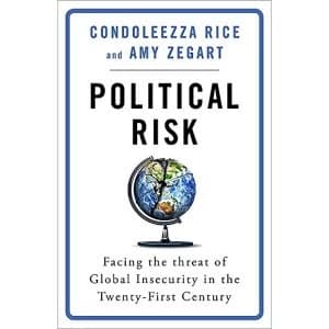 Image of Political Risk Facing the Threat of Global Insecurity in the Twenty-First Century Hardback 2018