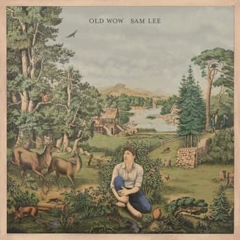 Image of Sam Lee - Old Wow Vinyl