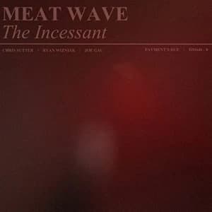 Image of The Incessant by Meat Wave CD Album