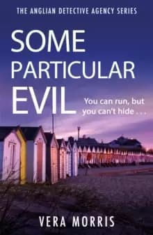 Image of Some Particular Evil : The Anglian Detective Agency Series