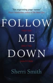 Image of Follow Me down by Sherri Smith Book
