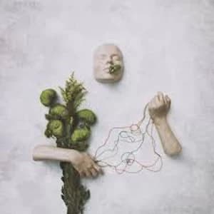 Image of red steppes - A Mouth May Grow Limited Edition Vinyl