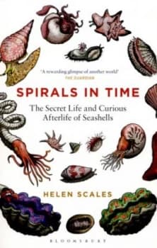 Image of Spirals in Time : The Secret Life and Curious Afterlife of Seashells