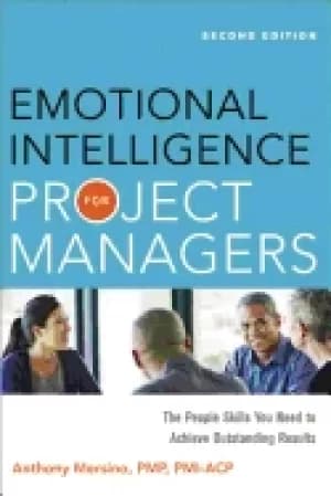 Image of emotional intelligence for project managers the people skills you need to a