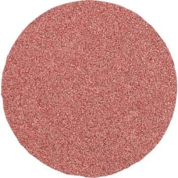 Image of PFERD CD 50 A 60 42750506 Sandpaper sheet Grit size 60 (Ø) 50 mm 100 pc(s)