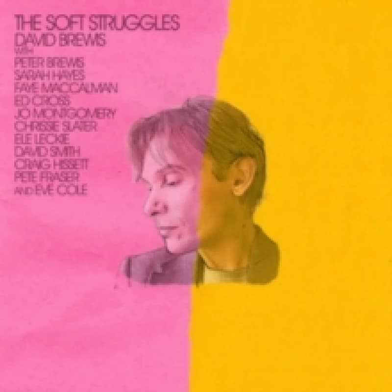 Image of The Soft Struggles CD / Album