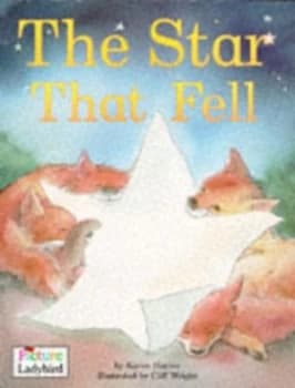 Image of The Star That Fell by Karen Hayles and Cliff Wright Paperback
