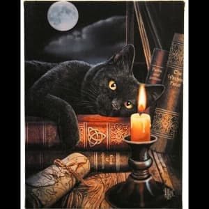 Image of Small Witching Hour Canvas Picture By Lisa Parker