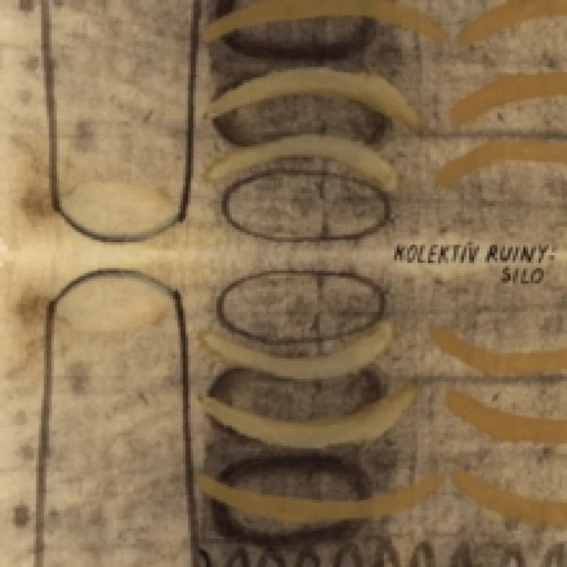 Image of SILO Vinyl