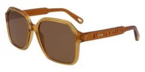 Image of Chloe Sunglasses CE 761S 204