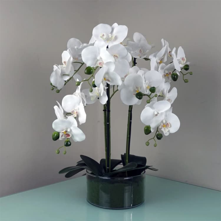Image of Leaf 50cm Artificial Orchid with Glass Planter - White Green