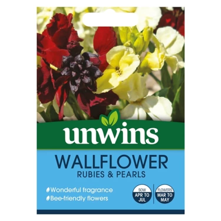 Image of Unwins Wallflower Rubies & Pearls