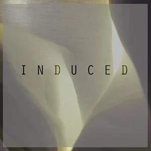 Image of Pazes - Induced Vinyl