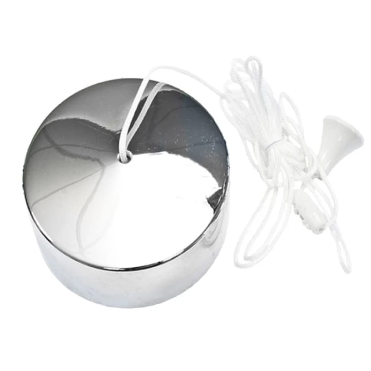Image of Dencon 2 Way 6 Amp Ceiling Switch, Chrome