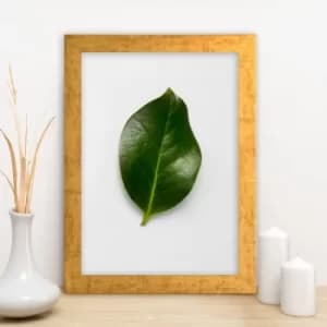 Image of AC7406288865 Multicolor Decorative Framed MDF Painting