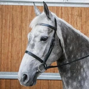 Image of Requisite Snaffle Bridle with Reins - Black