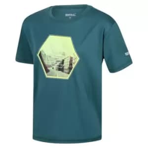Image of Regatta Alvarado VI T-Shirt - Green
