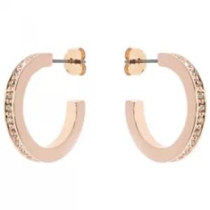 Image of Ladies Karen Millen PVD rose plating Small Hoop Earrings