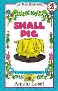 Image of small pig