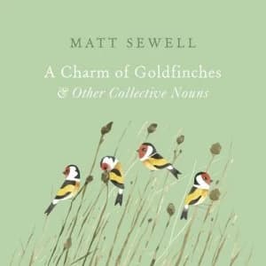 Image of A Charm of Goldfinches and Other Collective Nouns by Matt Sewell Hardback