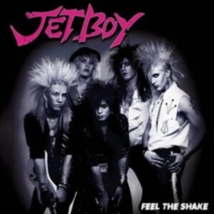 Image of Feel the Shake Vinyl