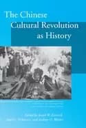 Image of chinese cultural revolution as history